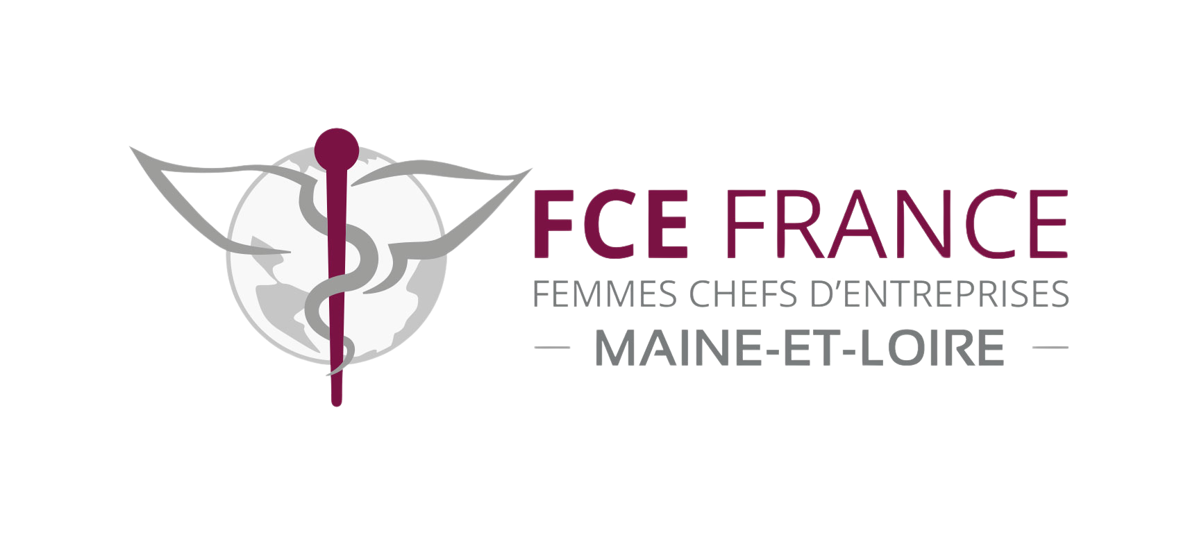 Logo Femmes chefs d'entreprises